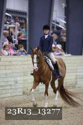 23R13_13277 thumbnail
