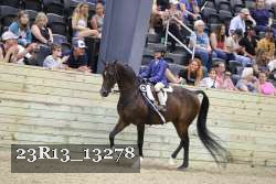 23R13_13278 thumbnail