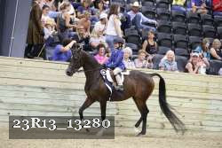 23R13_13280 thumbnail