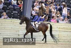 23R13_13281 thumbnail