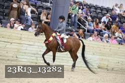 23R13_13282 thumbnail