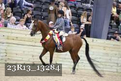 23R13_13284 thumbnail
