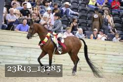 23R13_13285 thumbnail