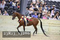23R13_13286 thumbnail