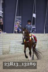 23R13_13289 thumbnail