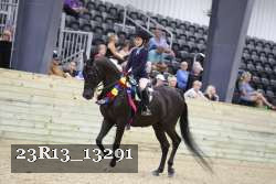 23R13_13291 thumbnail
