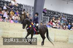 23R13_13292 thumbnail