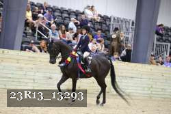 23R13_13293 thumbnail