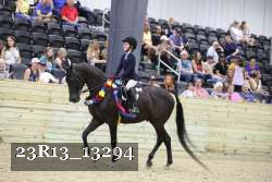 23R13_13294 thumbnail