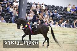 23R13_13296 thumbnail