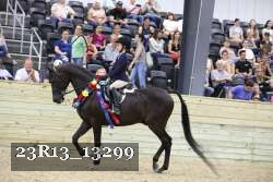 23R13_13299 thumbnail