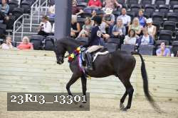 23R13_13301 thumbnail