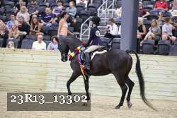 23R13_13302 thumbnail