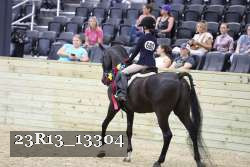 23R13_13304 thumbnail