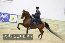 23R13_13325 thumbnail