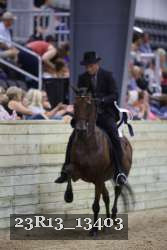 23R13_13403 thumbnail