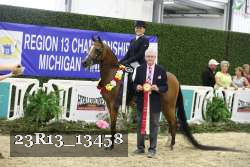 23R13_13458 thumbnail