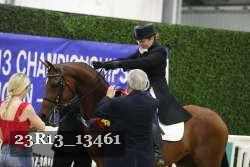 23R13_13461 thumbnail