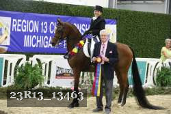 23R13_13463 thumbnail