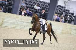 23R13_13465 thumbnail
