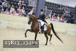23R13_13466 thumbnail