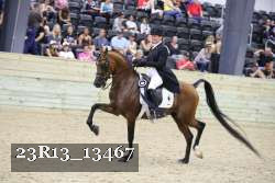 23R13_13467 thumbnail