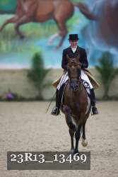23R13_13469 thumbnail
