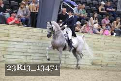 23R13_13471 thumbnail