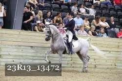 23R13_13472 thumbnail