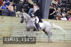 23R13_13473 thumbnail