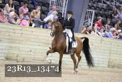 23R13_13474 thumbnail