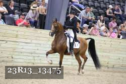 23R13_13475 thumbnail