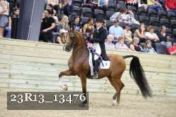 23R13_13476 thumbnail