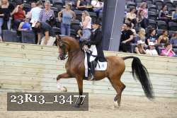 23R13_13477 thumbnail
