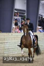 23R13_13479 thumbnail