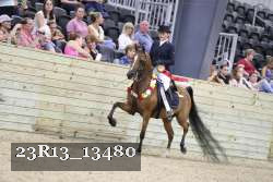 23R13_13480 thumbnail