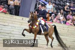 23R13_13481 thumbnail