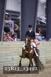 23R13_13492 thumbnail