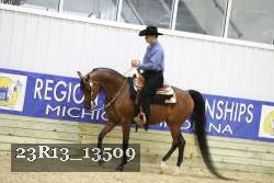 23R13_13509 thumbnail