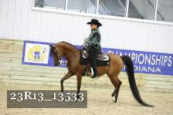 23R13_13533 thumbnail