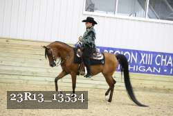 23R13_13534 thumbnail