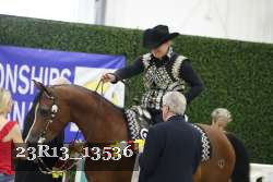 23R13_13536 thumbnail