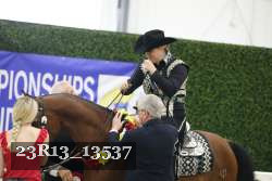 23R13_13537 thumbnail