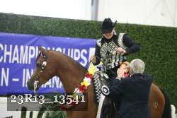 23R13_13541 thumbnail