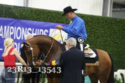 23R13_13543 thumbnail