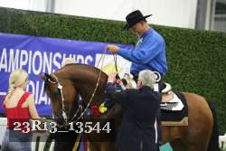23R13_13544 thumbnail