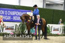 23R13_13545 thumbnail