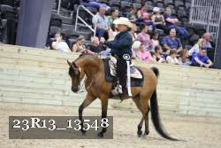 23R13_13548 thumbnail