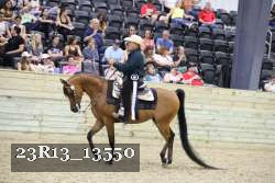 23R13_13550 thumbnail
