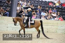 23R13_13551 thumbnail